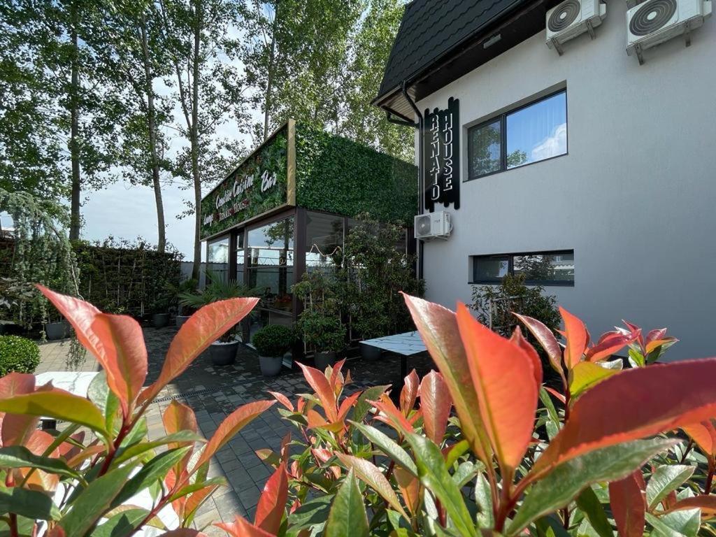 Renato House Târgu Jiu Exterior foto